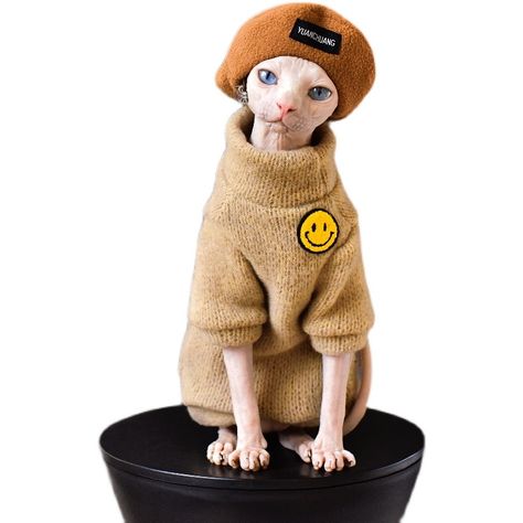 Cat Clothes 2