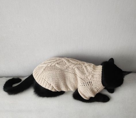 Cat Clothes 4