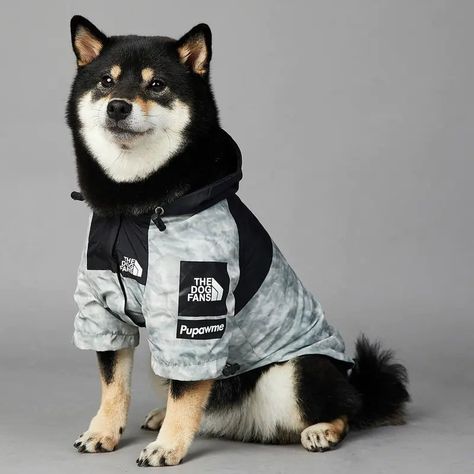Dog Clothes 7